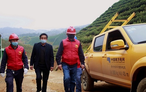 平塘供電局：“加減法”同構(gòu)服務，護航“貴州春茶第一壺”