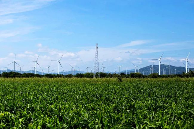 收購墨西哥818MW光伏電站，國家電投境外光伏電站裝機(jī)超6GW