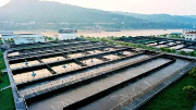 不用燒、不用填 生物處理技術(shù)出手，垃圾成資源