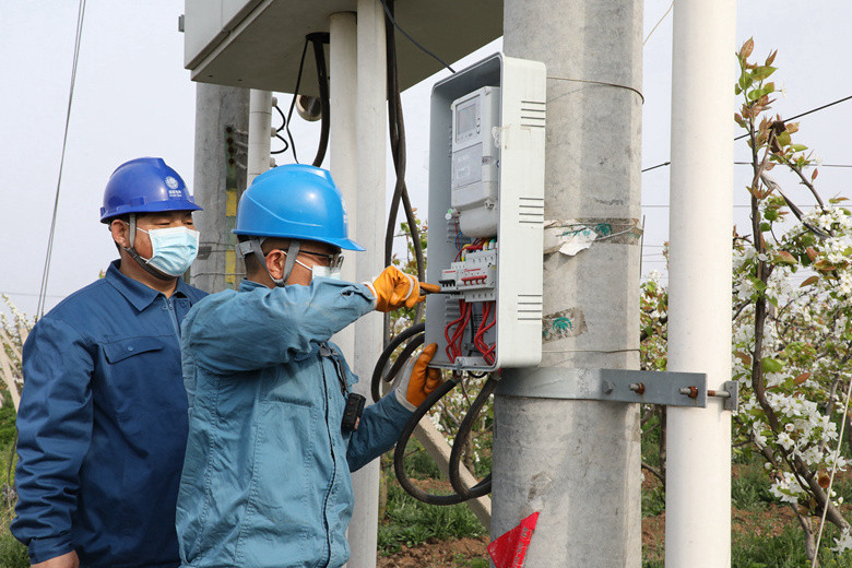 國網(wǎng)諸城市供電公司電力足，千畝梨園花正濃