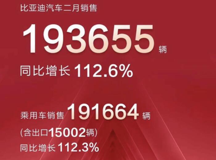 2月新能源車企成績單出爐，比亞迪一騎絕塵