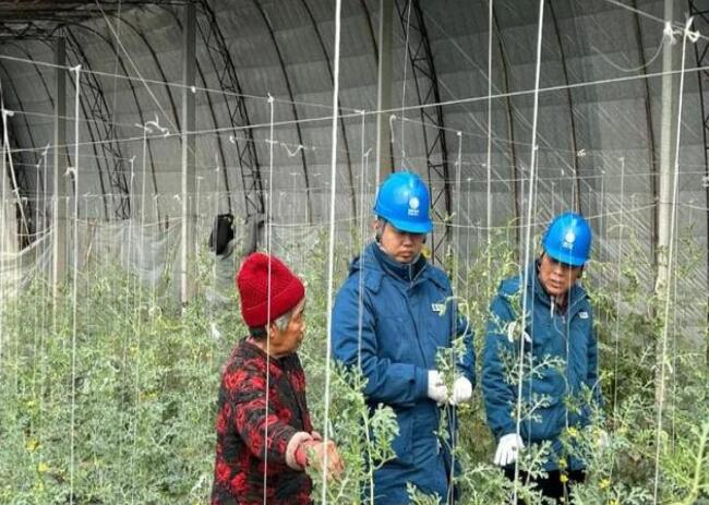 山東惠民供電公司：走訪種植大棚，優(yōu)化農業(yè)營商環(huán)境