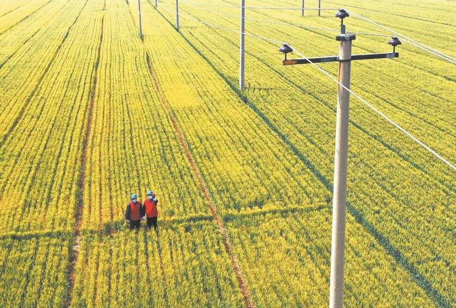 建立服務臺賬，精準了解村民用電需求