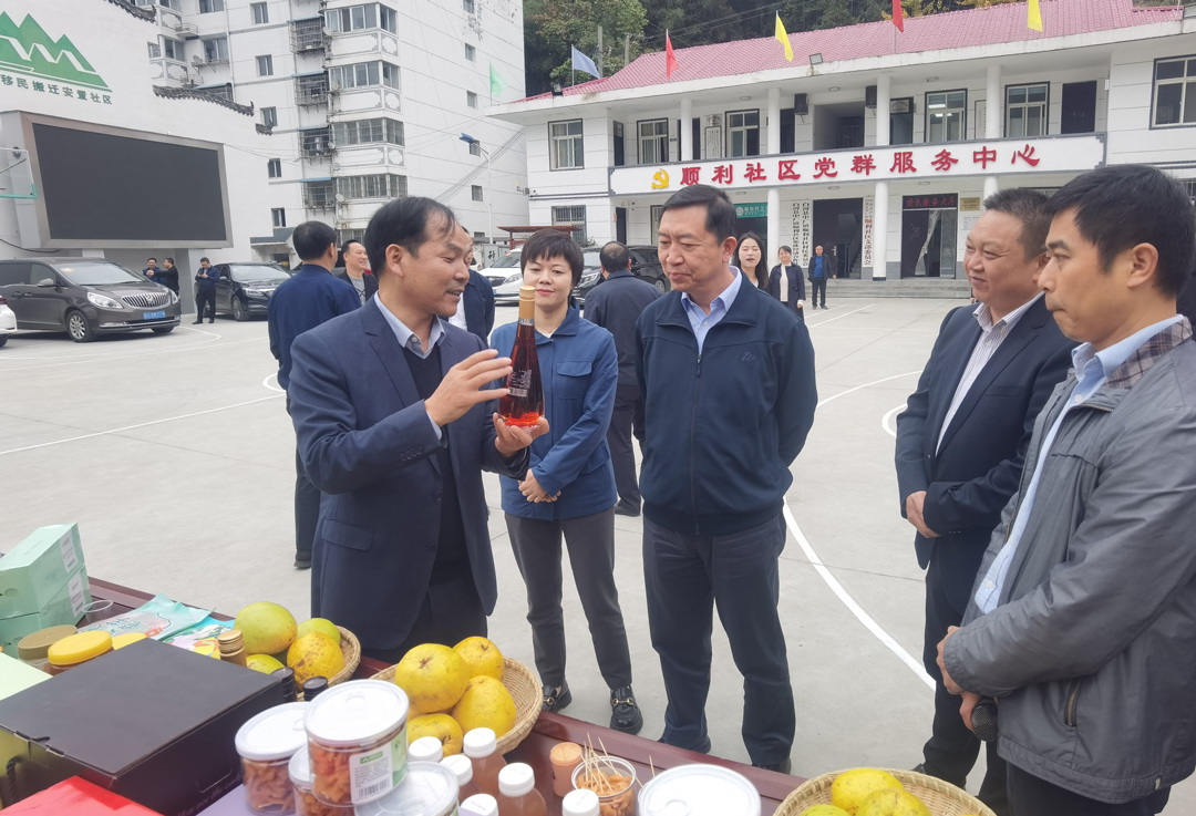 中核集團總經理、黨組副書記顧軍赴陜西白河、旬陽調研鄉(xiāng)村振興工作