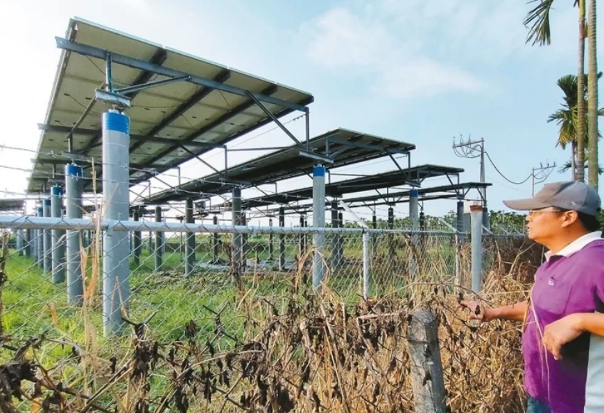 臺媒：農(nóng)田“種電”讓農(nóng)民苦不堪言，島內(nèi)面臨農(nóng)電兩失困境