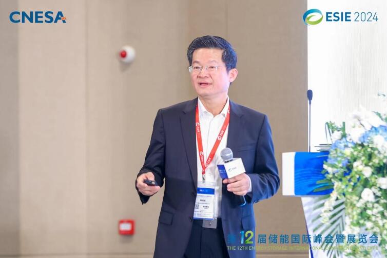 林澤波：儲能企業(yè)出海不是價格競爭，而是以定制優(yōu)質(zhì)產(chǎn)品和服務(wù)實現(xiàn)可持續(xù)發(fā)展