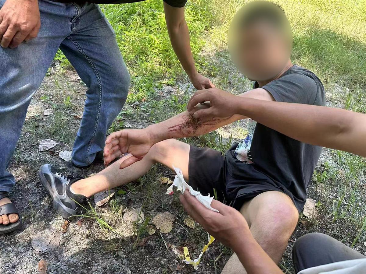 男子私設(shè)電網(wǎng)30余米，沒捕獲獵物卻電傷路人被刑拘