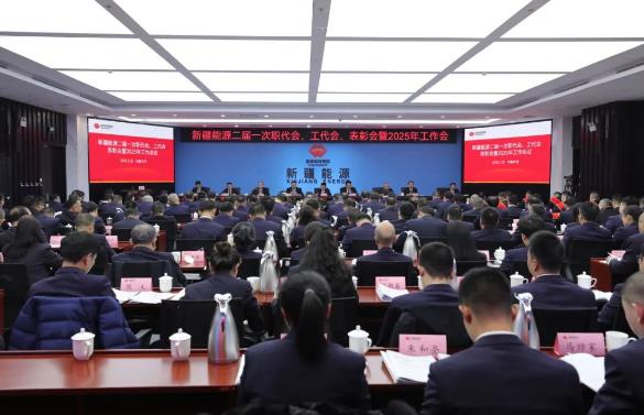 國能新疆能源召開二屆一次職代會、工代會、表彰會暨2025年工作會