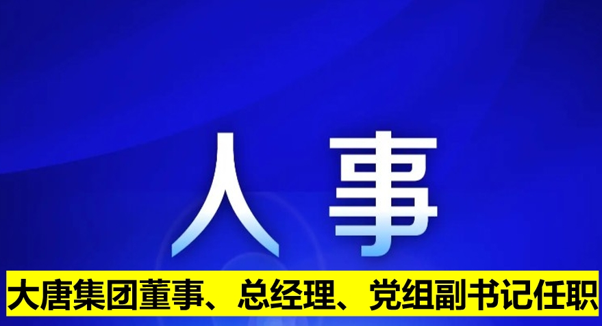 大唐集團(tuán)董事、總經(jīng)理、黨組副書記任職